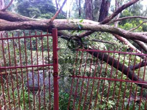 closeup of the fenceline panels