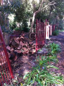 mt evelyn firewood